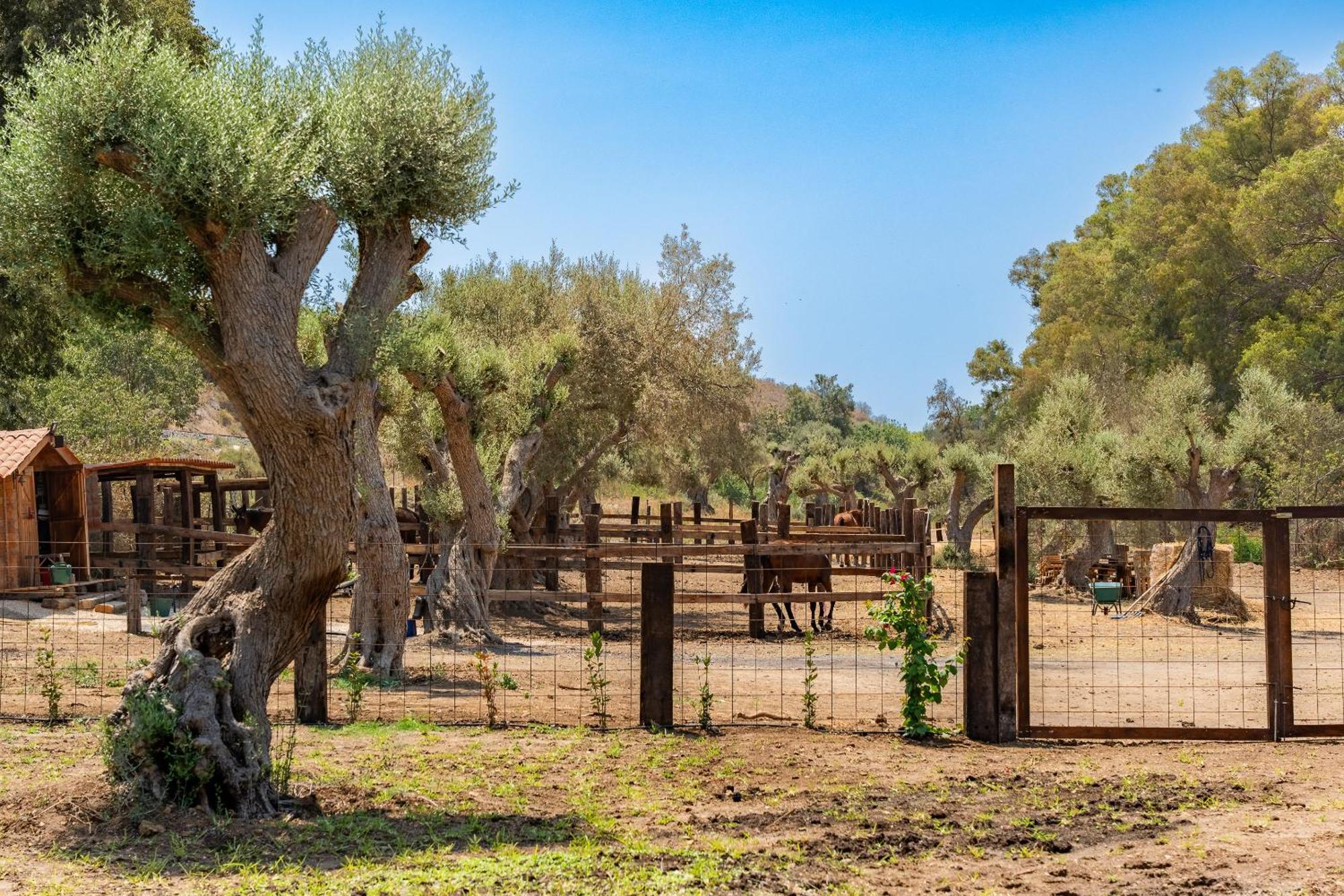 Sogno Di Giove Con Piscina By Wonderful Italy Διαμέρισμα Συρακούσες Εξωτερικό φωτογραφία